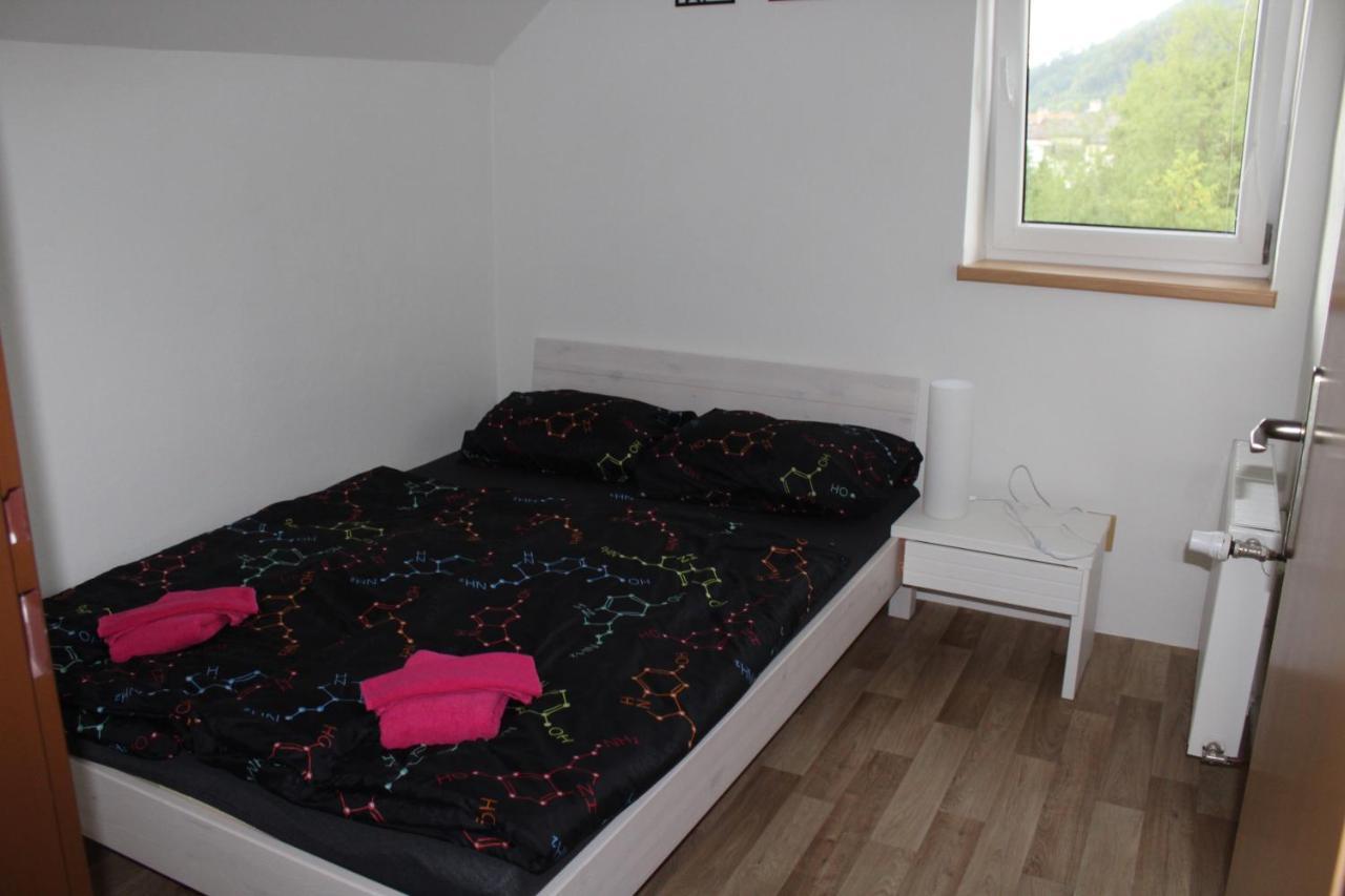 Apartman Rapotin, Jesenicka 296, 3Km Od Termalniho Parku Velke Losiny Exteriér fotografie